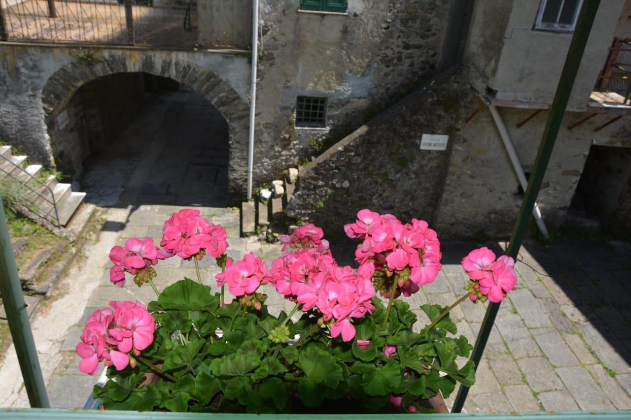 Agriturismo Ghirlanda Norma Rita Carrodano Inferiore Bagian luar foto