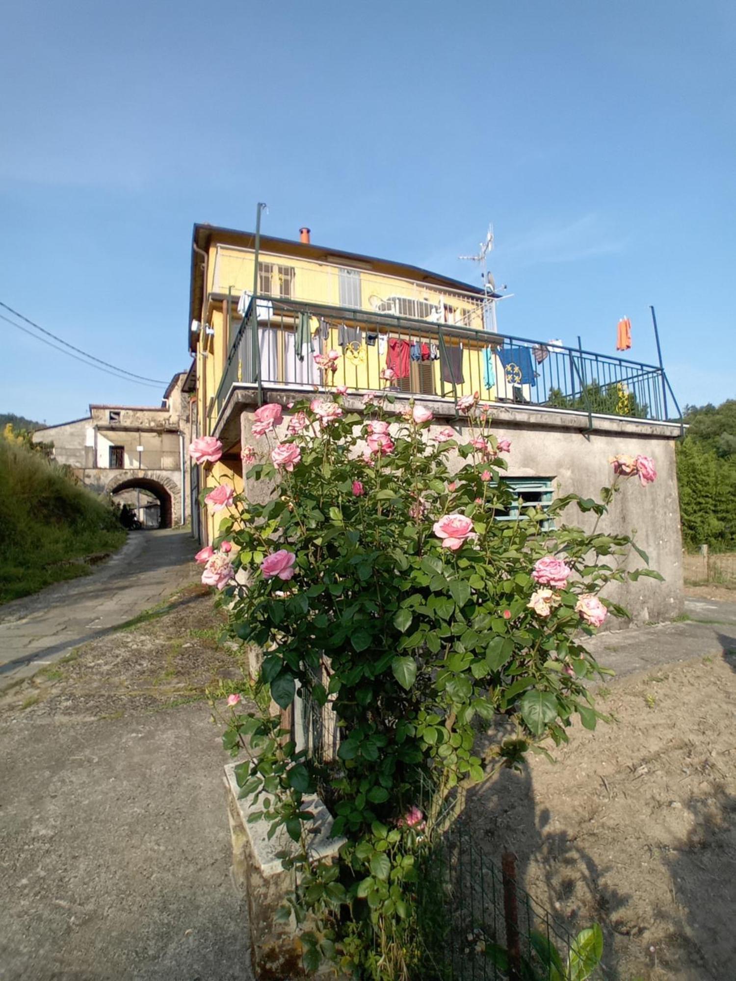 Agriturismo Ghirlanda Norma Rita Carrodano Inferiore Bagian luar foto